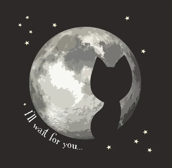 Ay 'ın arka planındaki kedi, gece gökyüzü, yıldızlar