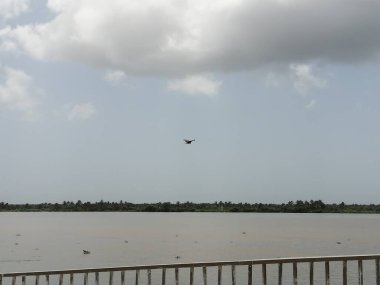 Paisaje urbano de barranquilla y sus readdores