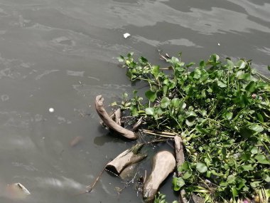 Paisaje urbano de barranquilla y sus readdores