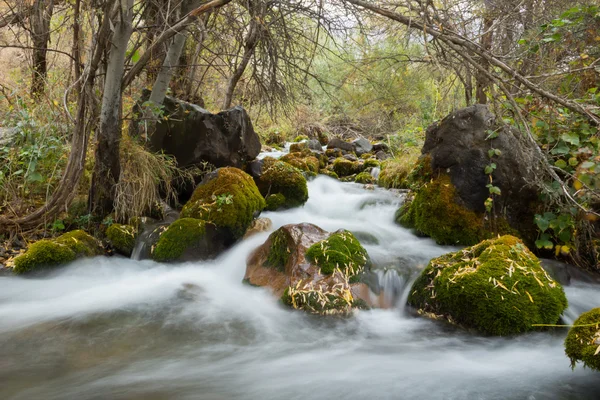 Sonbaharda akan dere