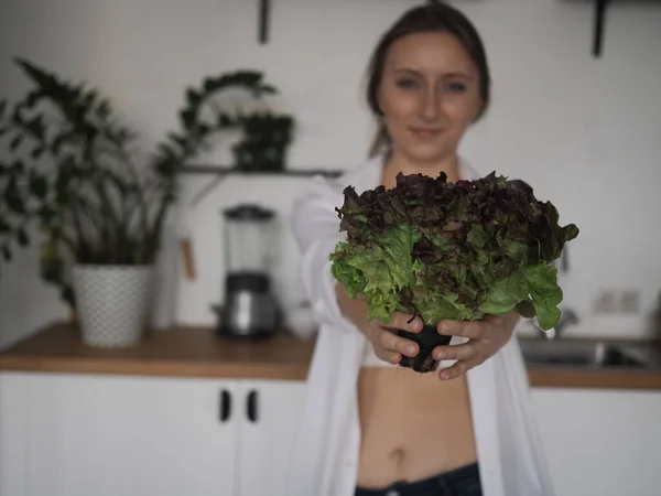 Giovane Nutrizionista Donna Cibo Sano Cibo Sano Prepara Colazione Stesso — Foto Stock