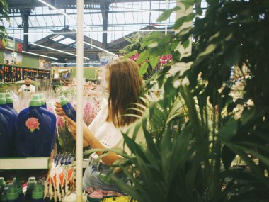 Çiçekçide bir kadın ev bitkilerini seçer.