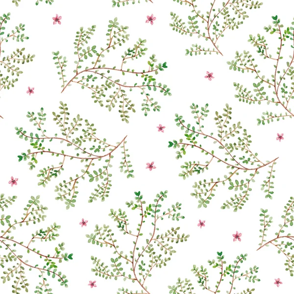 Akvarell mönster. Sömlös blommig textur med grenar, blomma knoppar och blad. — Stock vektor
