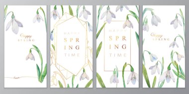 Bahar çiçekli vektör kartları. İçinde suluboya kardelen olan kart koleksiyonu. Tasarımınız için bir bahar teması üzerinde çerçeve ve arkaplanlar