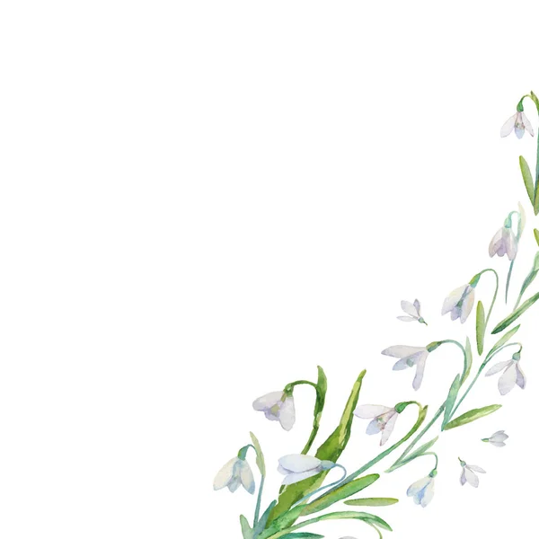 Aquarelle Florale Fond Avec Des Fleurs Printemps Joli Fond Snowdrops — Image vectorielle