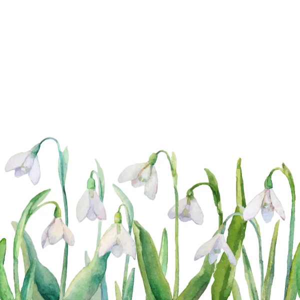 Vector Spring Seamless Border Watercolor Snowdrops White Background — Stock Vector