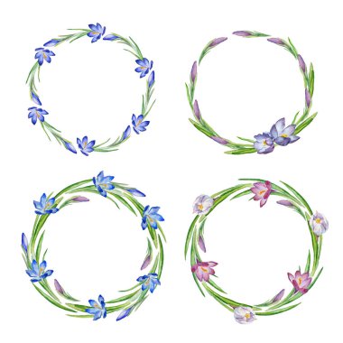 Bahar çiçekleriyle suluboya çerçeve koleksiyonu. Hoş retro krokus seti ya da selamlama için safran, düğün davetiyeleri ve doğum günü kartları.