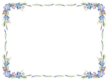 Crocus vektör çerçevesi. Suluboya boyalı safran ve beyaz arka planda yapraklar. Tatil, kutlama ve davetiye kartları için doğal bahar tasarımı.