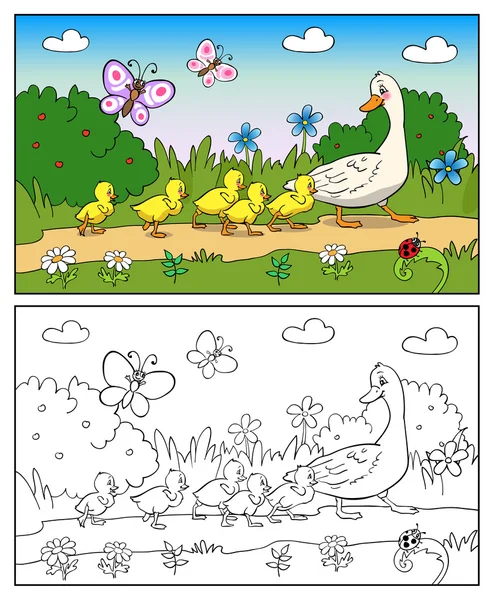 Libro para colorear. Madre pato y patitos . — Vector de stock