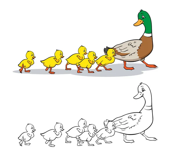 Libro para colorear. Madre pato y patitos . — Vector de stock