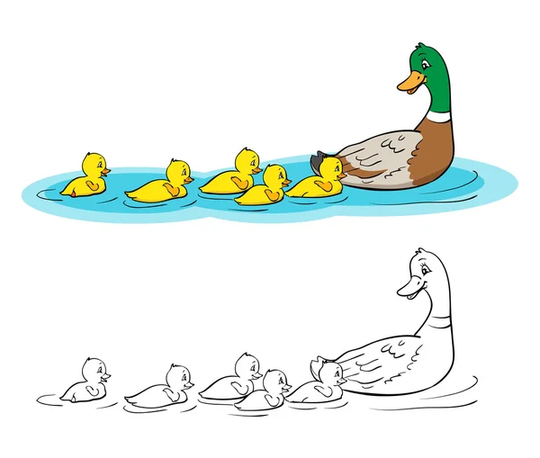 Libro para colorear. Madre pato y patitos . — Vector de stock