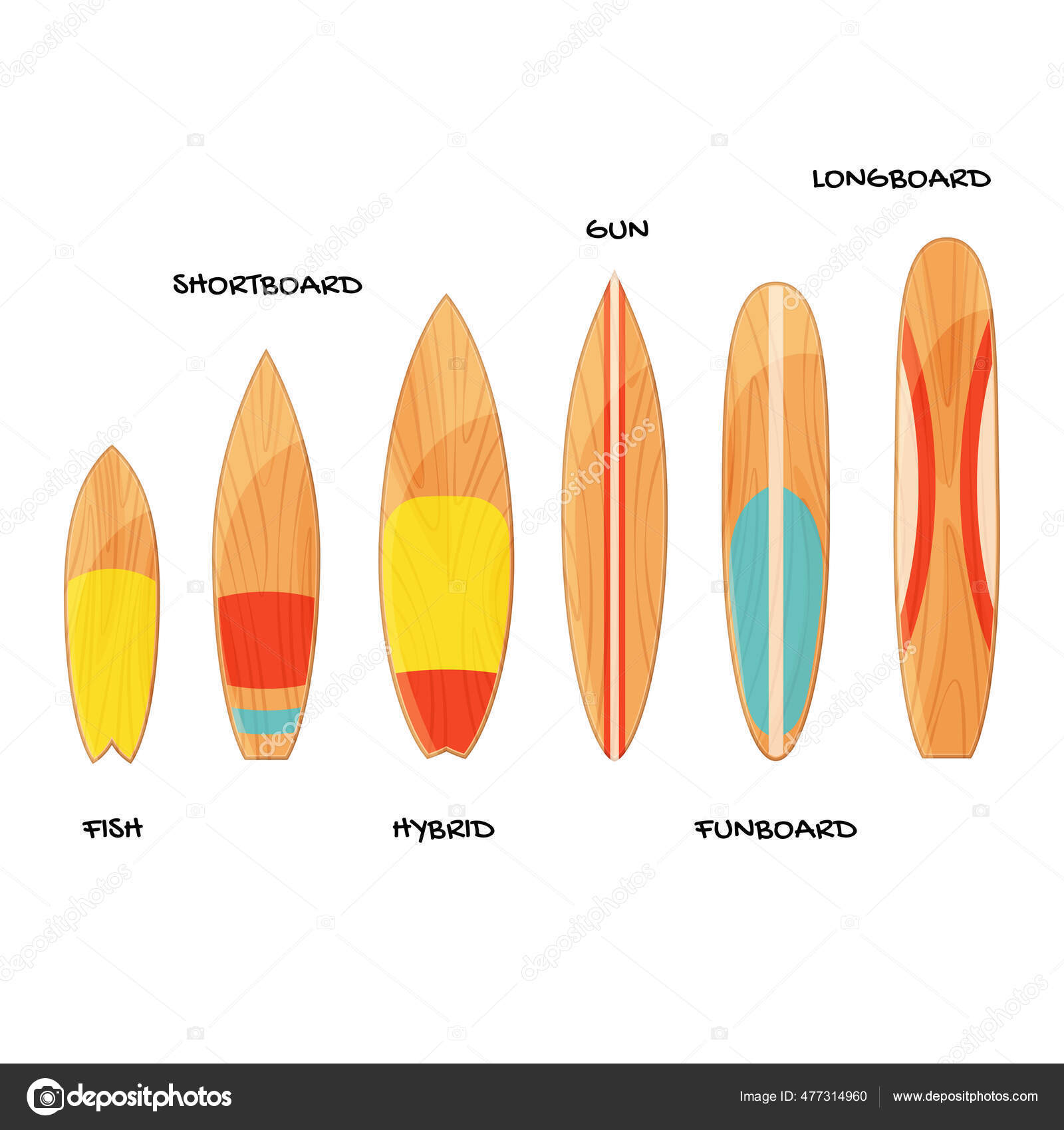 Surfboards Different Types Trendy Flat Style White Background Surfboard