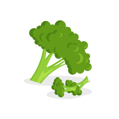 Tüm brokoli beyaz arka planda izole edilmiş. Vejetaryen gıda vektör sebze ikonları modaya uygun çizgi film tarzında. Sağlıklı gıda konsepti.