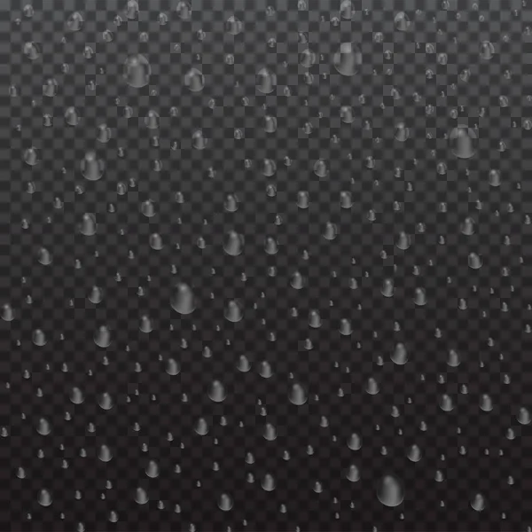 黒の透明な背景に凝縮されたベクトル現実的な水滴 ガラス上に孤立したマクロアクアバブル 透明な表面のための影のない雨滴 — ストックベクタ