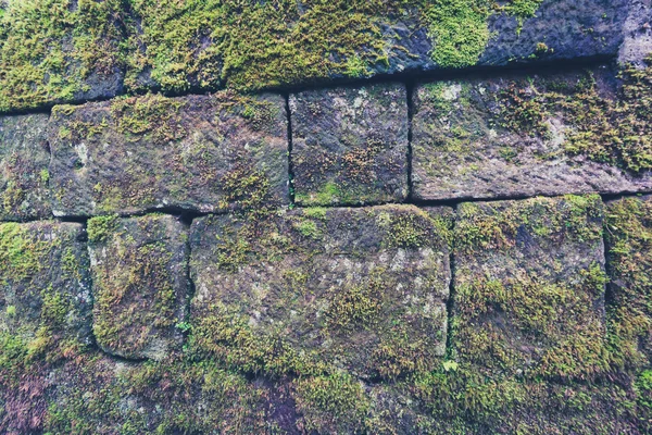 Parede de pedra velha coberta com musgo — Fotografia de Stock