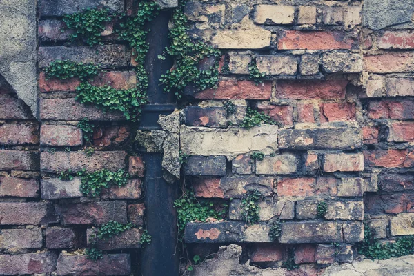 오래 된 빈티지 벽돌 벽 근접 촬영, 자란된 똑 레일 — 스톡 사진