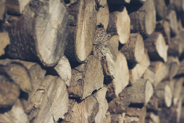 Stacked wood logs — Stock Photo, Image