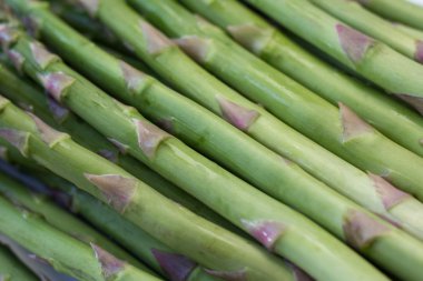 taze yeşil kuşkonmaz makro ham