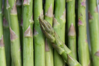 taze yeşil kuşkonmaz makro ham