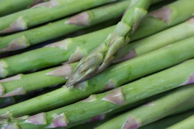 taze yeşil kuşkonmaz makro ham