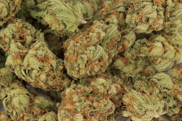 Medische Marihuana Bud Close Cannabis Macro — Stockfoto