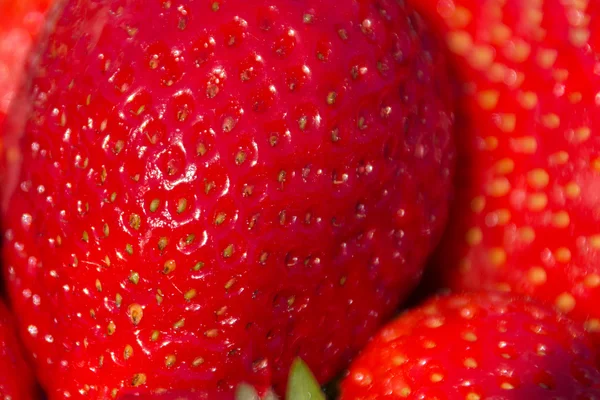 Çilek makro, çilek portre  