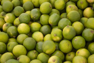 limon meyve arka plan - yeşil limon meyve yığını