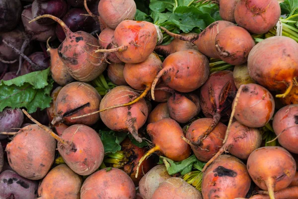 beet, red beetroot - raw vegetable backround