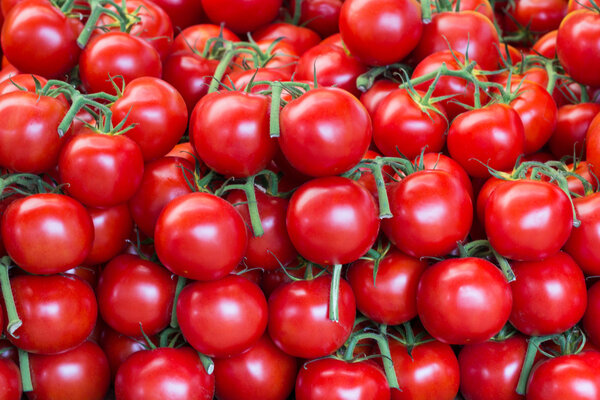 shiny raw tomatoes - tomato background 