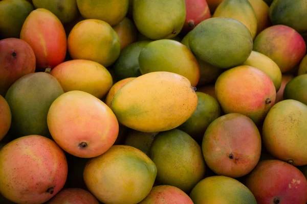 Σωρό από φρέσκο μάνγκο φρούτα — Φωτογραφία Αρχείου