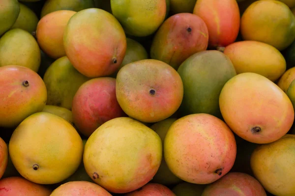 Pile Fresh Mango Fruits Closeup Healthy Food Background — Stock Photo, Image