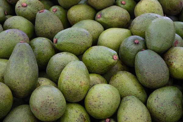 Yeşil Avokado - gıda arka plan yığını — Stok fotoğraf