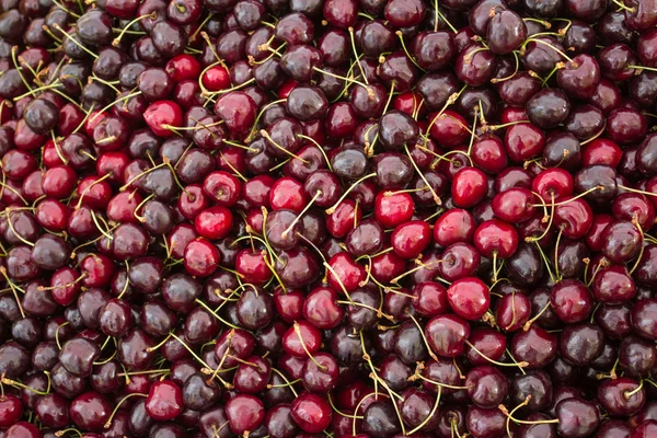 cherry fruit background - many cherries closeup