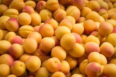 Kayısı Şeftali - meyve arka plan yığını