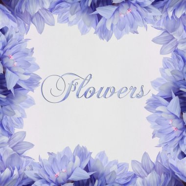 çiçek dekorasyon, çerçeve çiçek ve güzel el yazısı