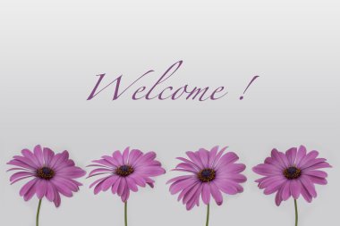 welcome !  - text with flower decoration , isolated flowers on white background clipart