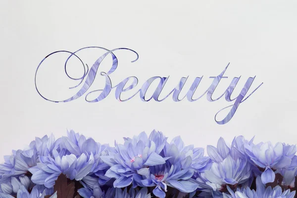美しさの花の装飾、花の背景、美しい手書き文字 — ストック写真