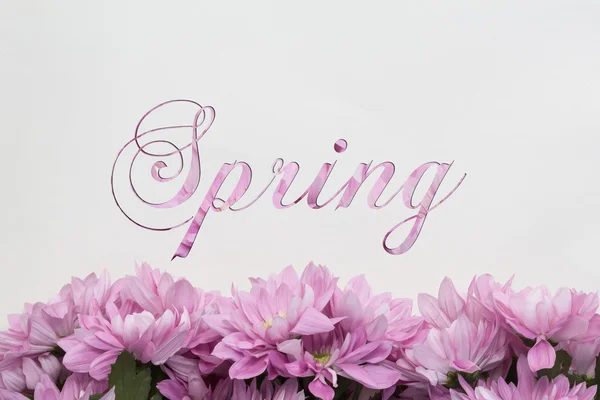春天的鲜花装饰、 花卉背景和漂亮的书法 — 图库照片