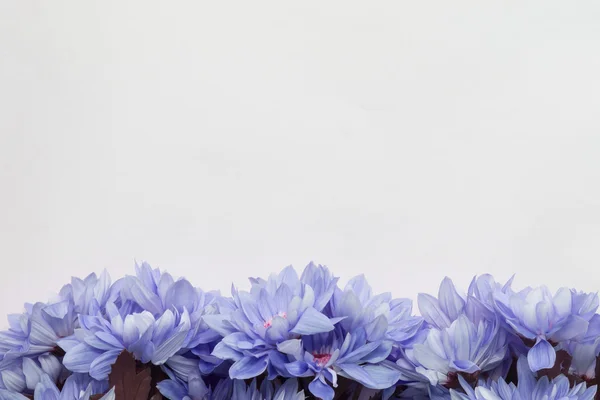 Decorazione fiori blu, sfondo floreale spazio vuoto per il testo — Foto Stock