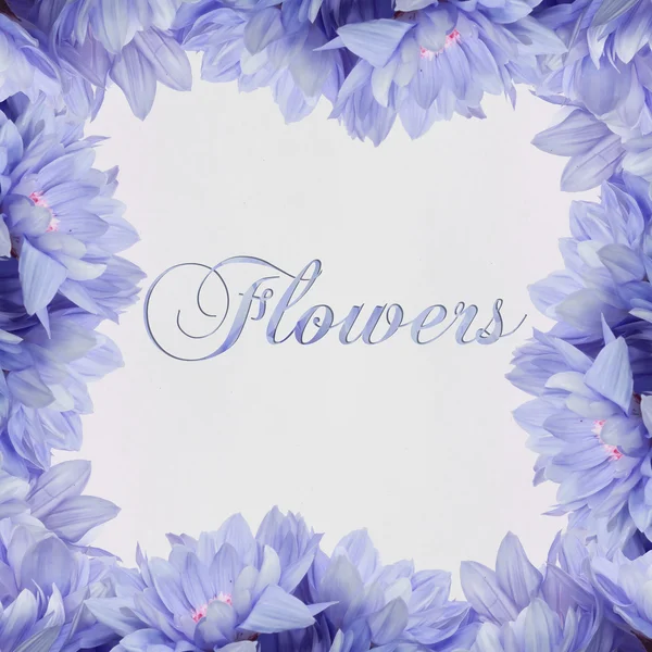 Decoración de flores, marco floral y hermosa escritura — Foto de Stock