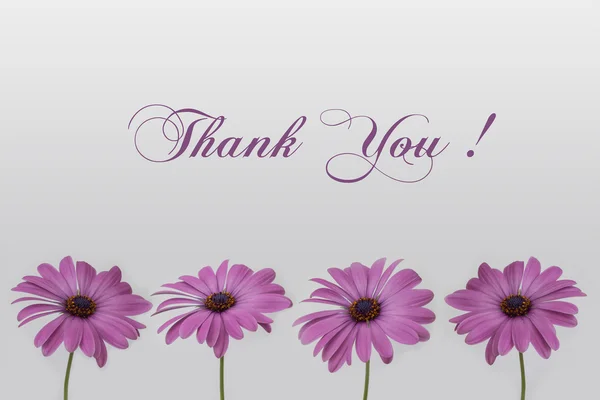 Teşekkür ederim metin çiçek dekorasyonu ile el yazısı — Stok fotoğraf