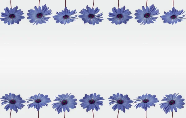 Květina rám s prázdného prostoru - květinová výzdoba — Stock fotografie