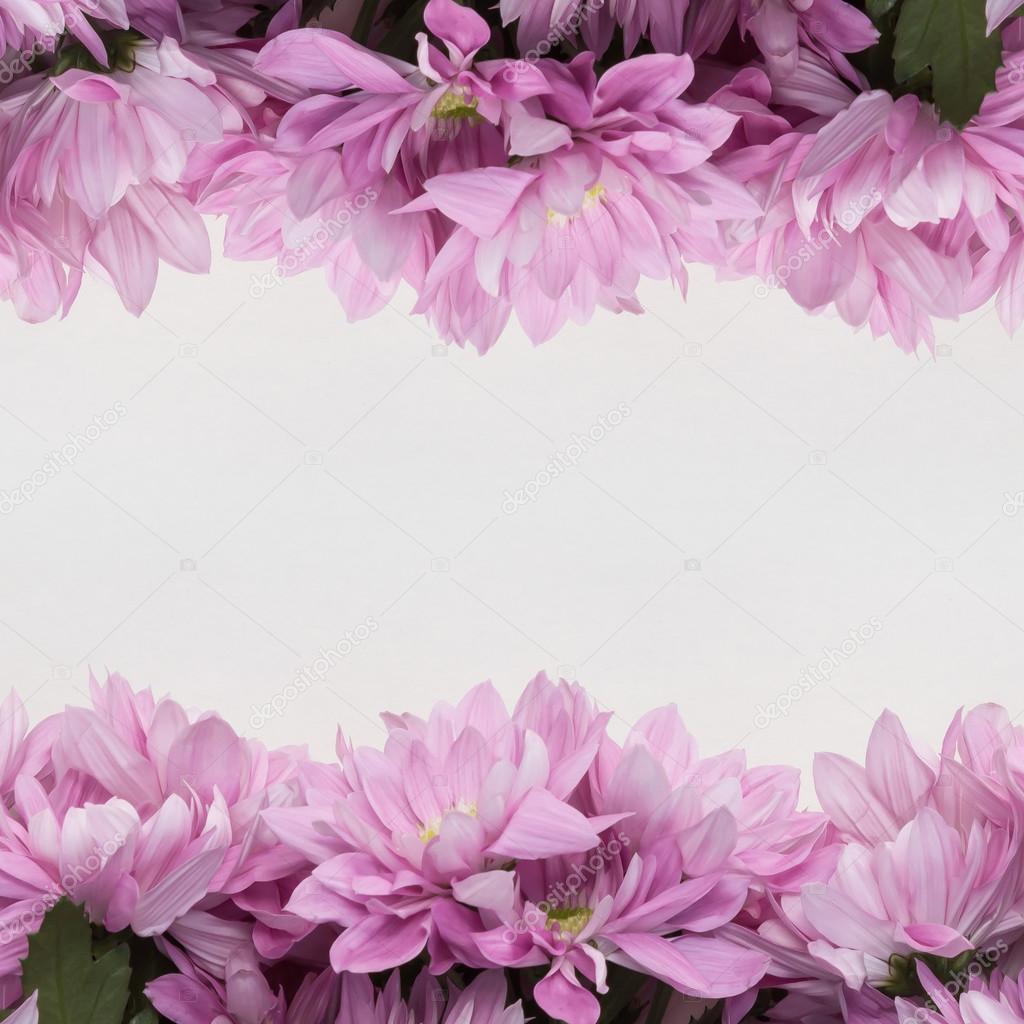 flowers decoration with empty space for text and floral frame on white