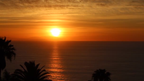 Zonsondergang Oceaan weergave - rode hemel, zee en palm bomen — Stockvideo