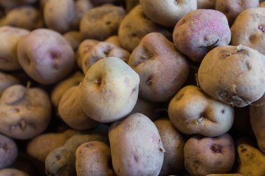 Kanarya kırışık patates - papas arrugadas
