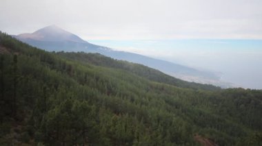 Çam ormanı Vadisi ve dağ içinde geçmiş, Pico del Teide, Tenerife