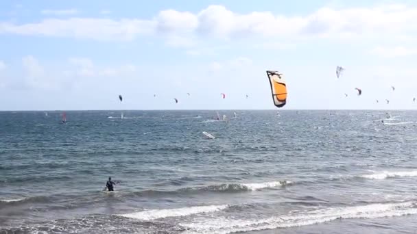 Кайтсерфер на пляже держит воздушного змея на ветру, многие серфер на заднем плане — стоковое видео