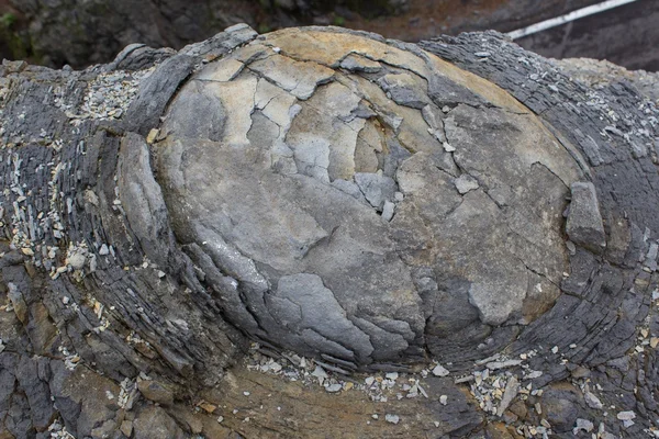 Macro roche, peau d'oignon altération / texture de pierre altérée — Photo