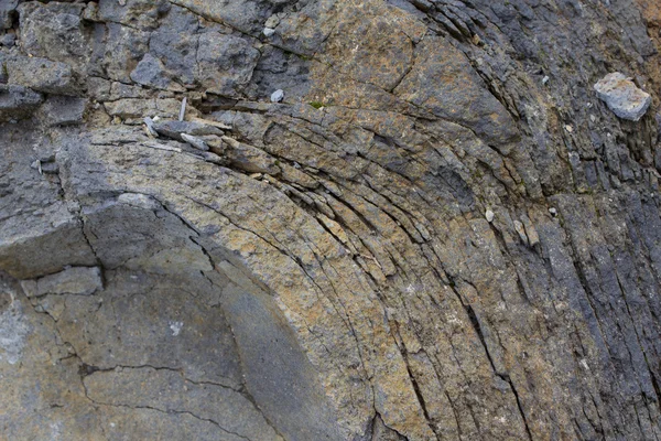 Rock makro, soğan cilt ayrışma / yıpranmış taş doku — Stok fotoğraf