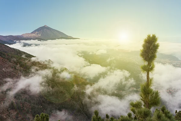 Pico del teide, paisaje de montaña sobre las nubes, Tenerife, España — Foto de Stock